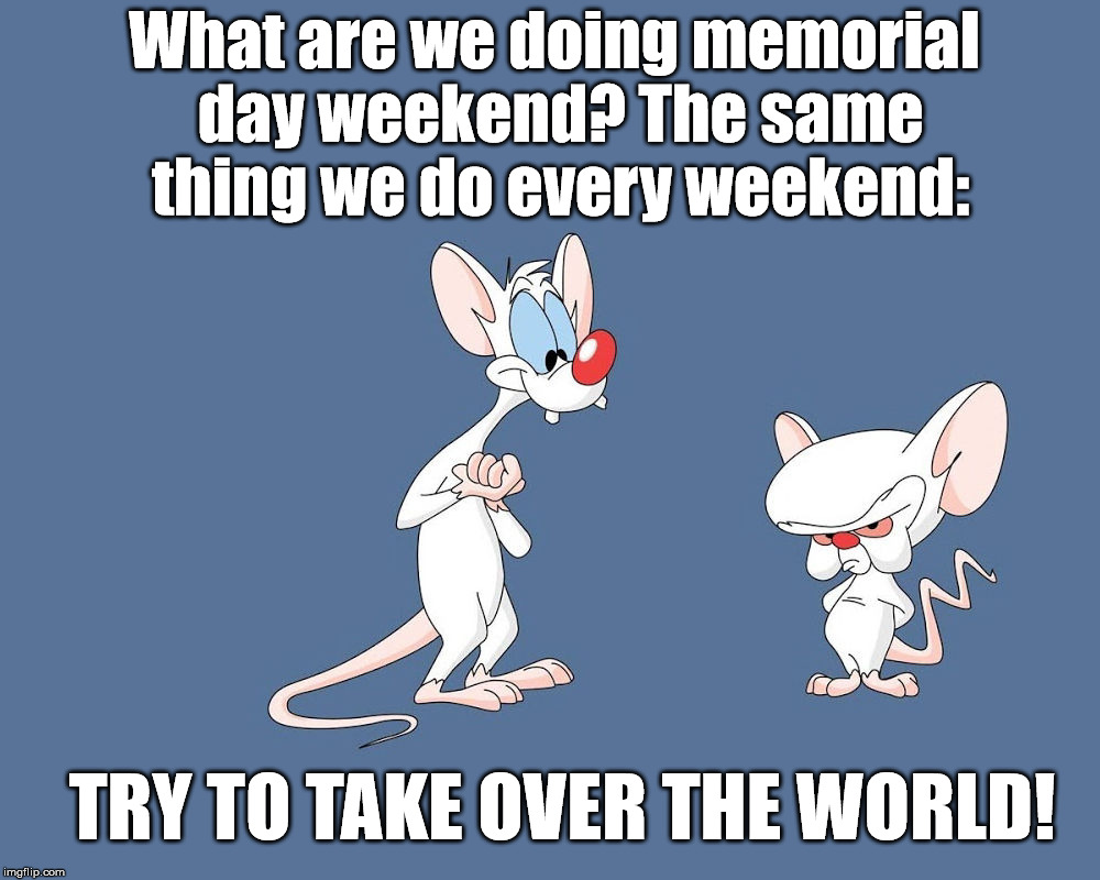 Memorial Day Funny Pictures