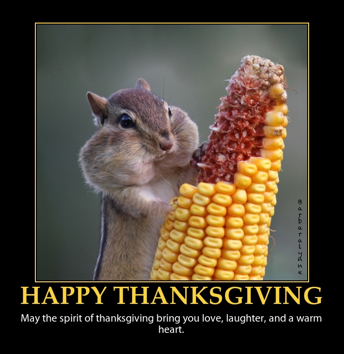 Best Thanksgiving Meme